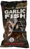 Boilie STARBAITS Concept Garlic Fish